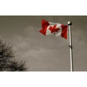 Phil Guertin's photo