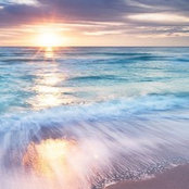Charlotte Humphries's photo