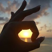 Sandra Bohn's photo