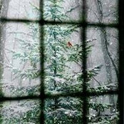 Kim Riner's photo