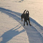 Rolf Seesemann's photo