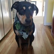 Thomas Masterson's photo