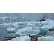 Michele Doxey's photo