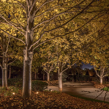 Driveway Lighting | McKay Landscape Lighting - Omaha, Nebraska