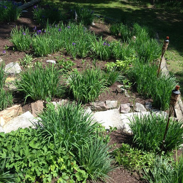 Spring Clean-up