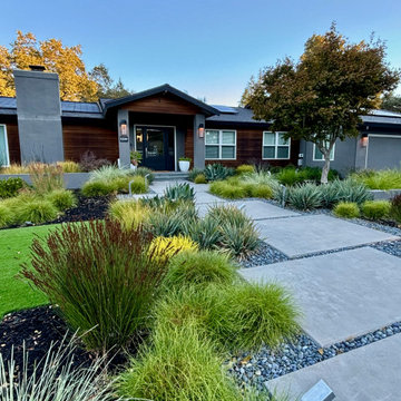 Alamo Modern Low Water Front Yard