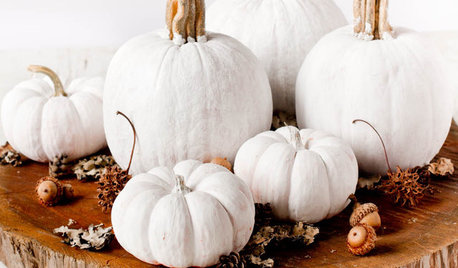 Stylishly Alternative Pumpkin Ideas for Halloween