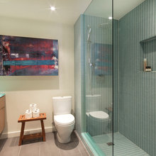 shower door