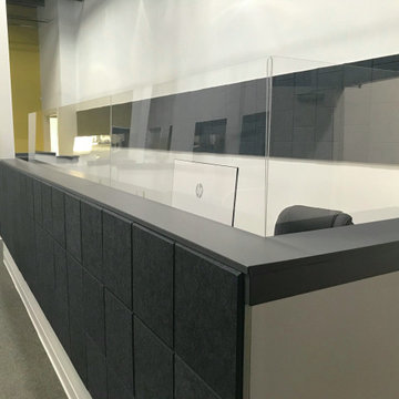 Sound Proofing & Sneeze Guards Project
