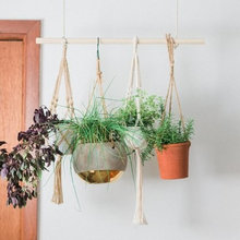 Decor