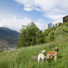 Switzerland Dreams