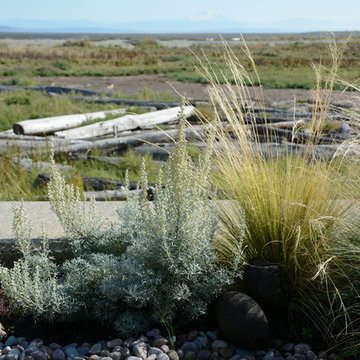 Contemporary Seaside Garden