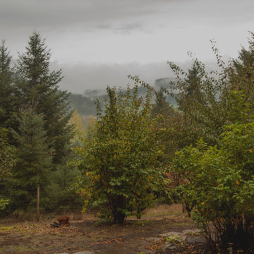 High Heaven, McMinnville Estate