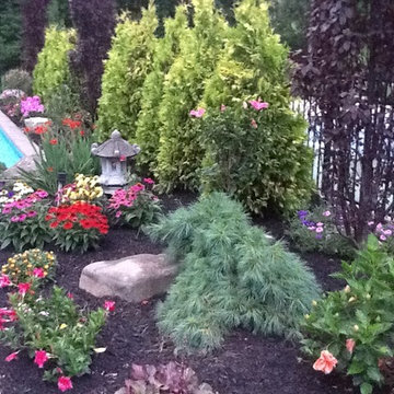 LANDSCAPE & Gardens