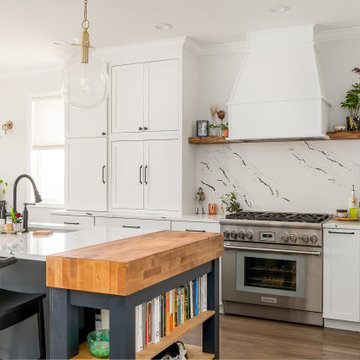 Pearl White Transitional Kitchen in Chicago