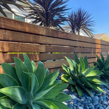 Cole’s Condo Landscape