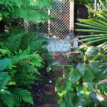 Garden Tour: A Stunning Tropical Garden Before and After