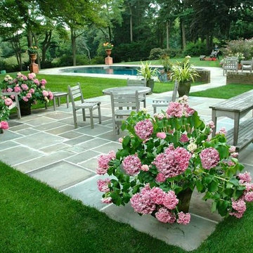 Container Gardens (Long Island/NY):