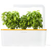 Smart Herb Garden Starter Kit, Orange