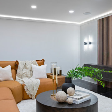 End Unit - Modern Transitional Luxury Rowhome | Heritage Place Naperville, IL