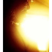 Seren Monroes foto