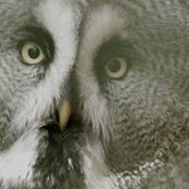 Millie Holt's photo