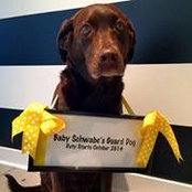 Lindsay Schwabe's photo