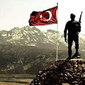 Kansu Alkan's photo