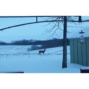 Jon Breidenbach's photo