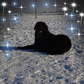 Foto von Lynn Macneil
