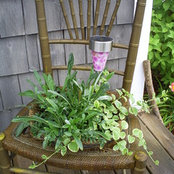 Stephanie Hebert's photo