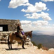 Paula Howe's photo