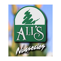 Alis Nursery
