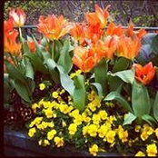 Alisha Richey's photo