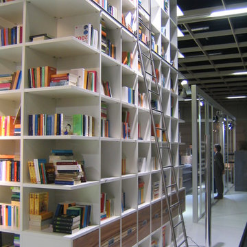 Library Ladders