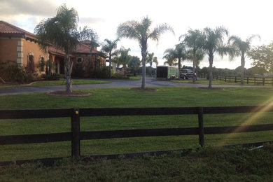 Inspiration for a landscaping in Tampa.
