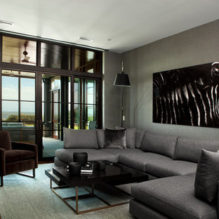 Inspiration for a contemporary home theater remodel in Charleston