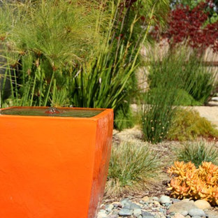 Cette image montre un jardin arrière méditerranéen avec un point d'eau.