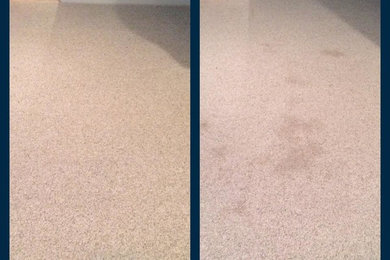 Before/after carpet cleaning