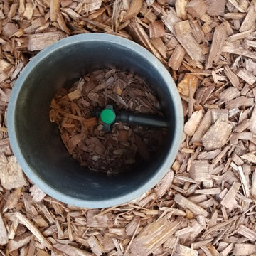 Simple Greywater System
