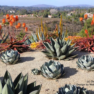 Rancho Santa Fe property
