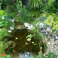 Water Features
