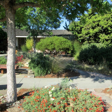 Gainer Garden