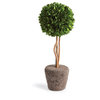 Boxwood Single Sphere Topiary Drop-In, 16"