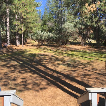 Scott's Twin Cedars Patio