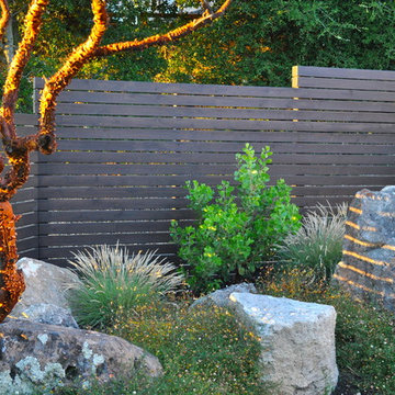 Orinda Modern
