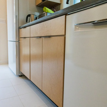 Takoma Park Kitchen