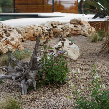 Dripping Springs Property