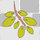 D'Urso Landscaping and Construction, Inc.