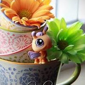 Cindy Prince de Elias's photo